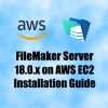 FMS 18.0.x on AWS EC2 Guide